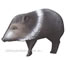 Delta McKenzie 3D Javelina - click for more information
